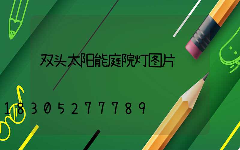 双头太阳能庭院灯图片