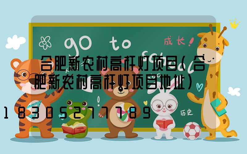合肥新农村高杆灯项目(合肥新农村高杆灯项目地址)