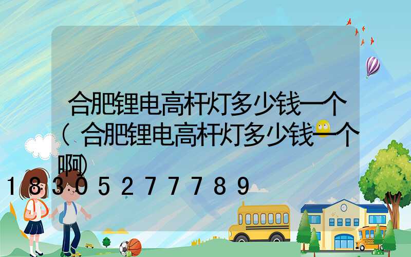 合肥锂电高杆灯多少钱一个(合肥锂电高杆灯多少钱一个啊)