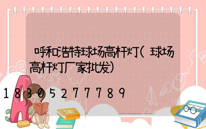呼和浩特球场高杆灯(球场高杆灯厂家批发)