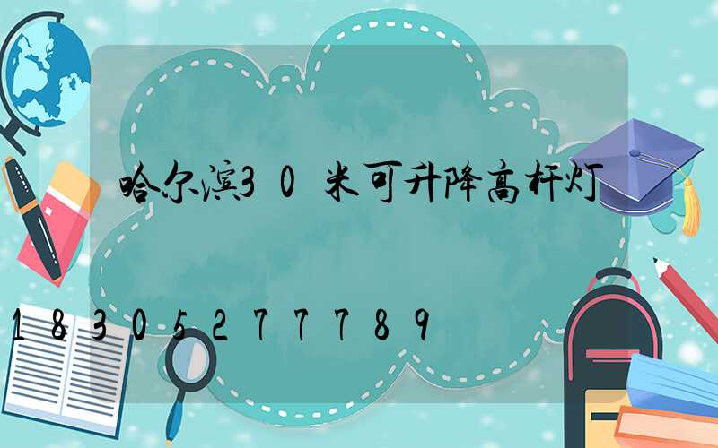 哈尔滨30米可升降高杆灯