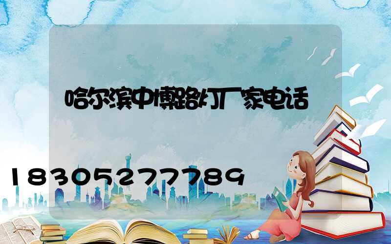 哈尔滨中博路灯厂家电话