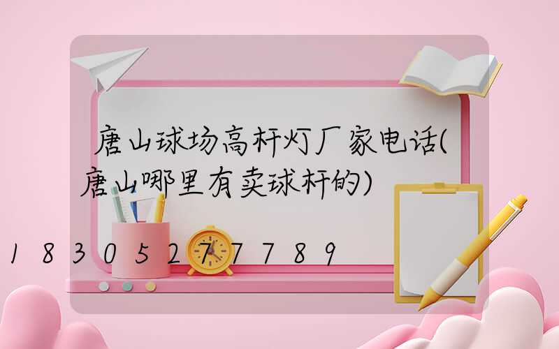 唐山球场高杆灯厂家电话(唐山哪里有卖球杆的)