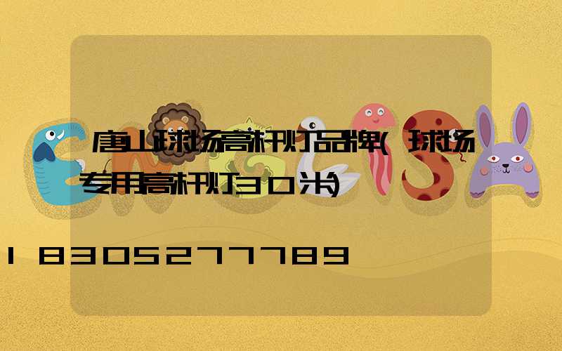 唐山球场高杆灯品牌(球场专用高杆灯30米)
