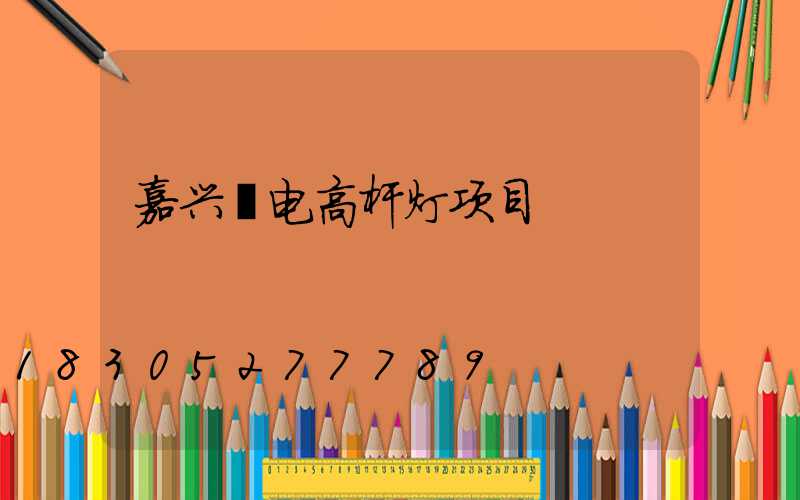 嘉兴锂电高杆灯项目