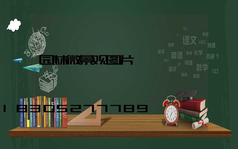 园林微景观图片