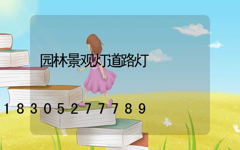 园林景观灯道路灯