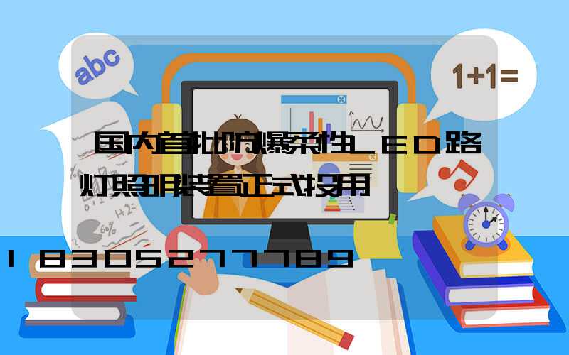 国内首批防爆柔性LED路灯照明装置正式投用
