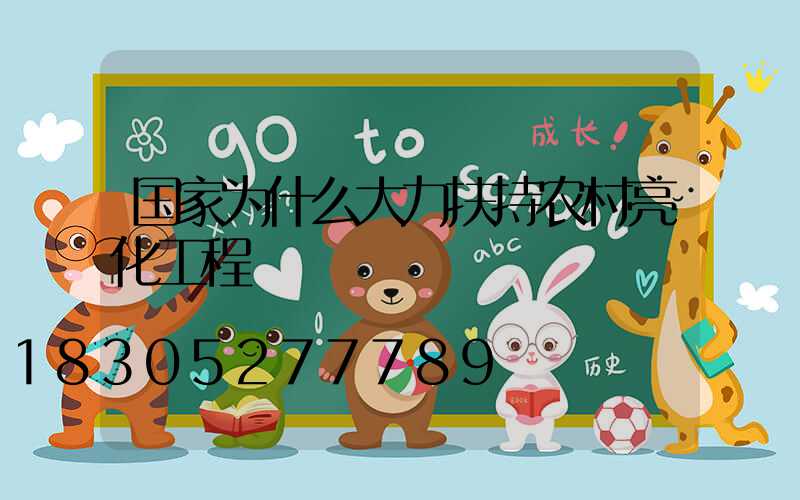 国家为什么大力扶持农村亮化工程