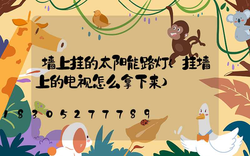墙上挂的太阳能路灯(挂墙上的电视怎么拿下来)