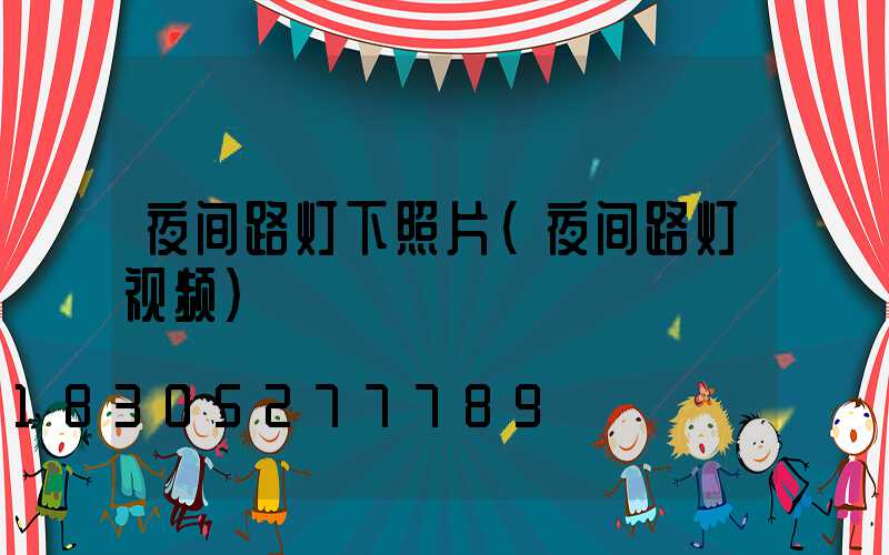 夜间路灯下照片(夜间路灯视频)