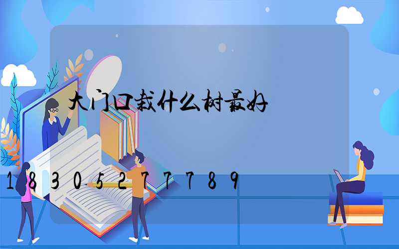 大门口栽什么树最好