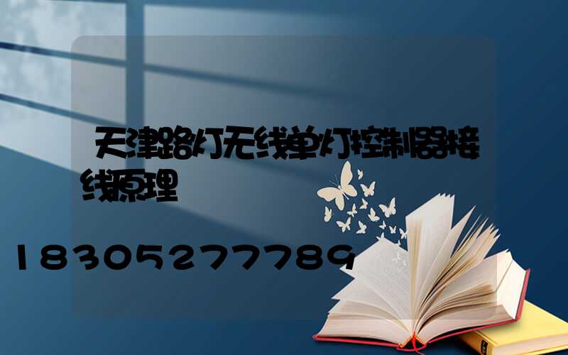 天津路灯无线单灯控制器接线原理