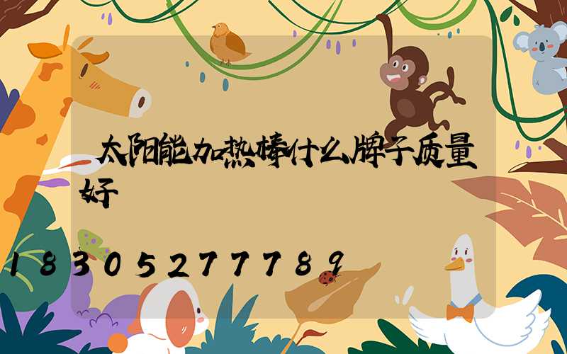 太阳能加热棒什么牌子质量好