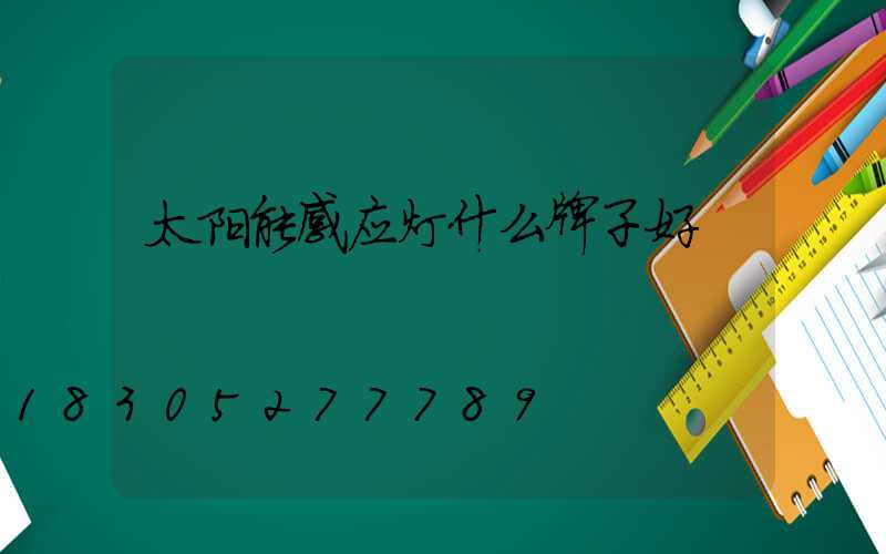 太阳能感应灯什么牌子好