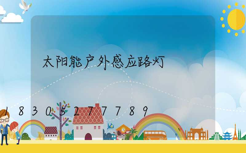 太阳能户外感应路灯