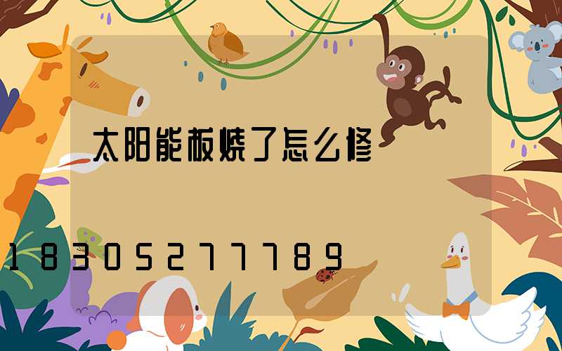 太阳能板烧了怎么修