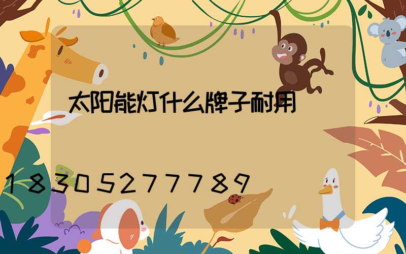 太阳能灯什么牌子耐用