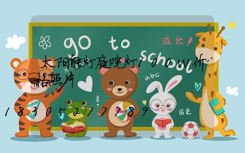 太阳能灯庭院灯100w价格照片