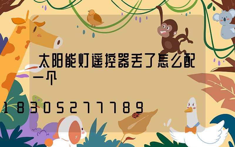 太阳能灯遥控器丢了怎么配一个
