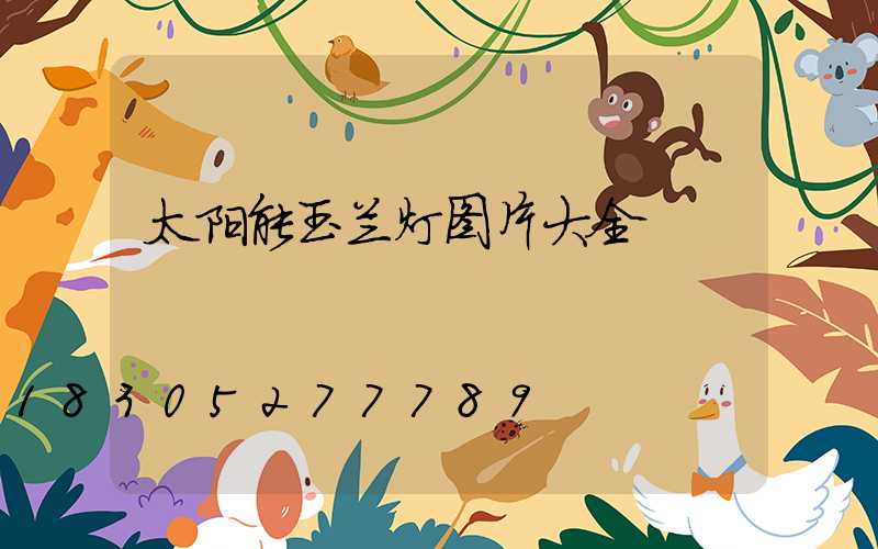 太阳能玉兰灯图片大全