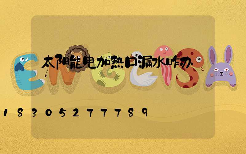 太阳能电加热口漏水咋办