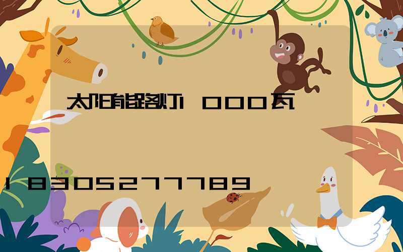 太阳能路灯1000瓦
