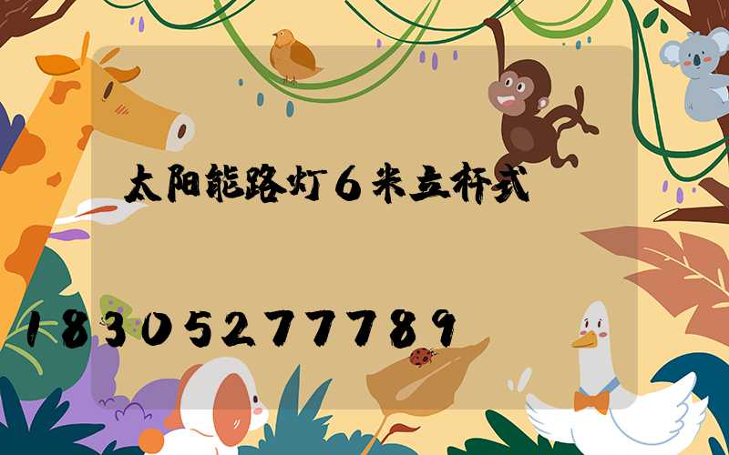 太阳能路灯6米立杆式