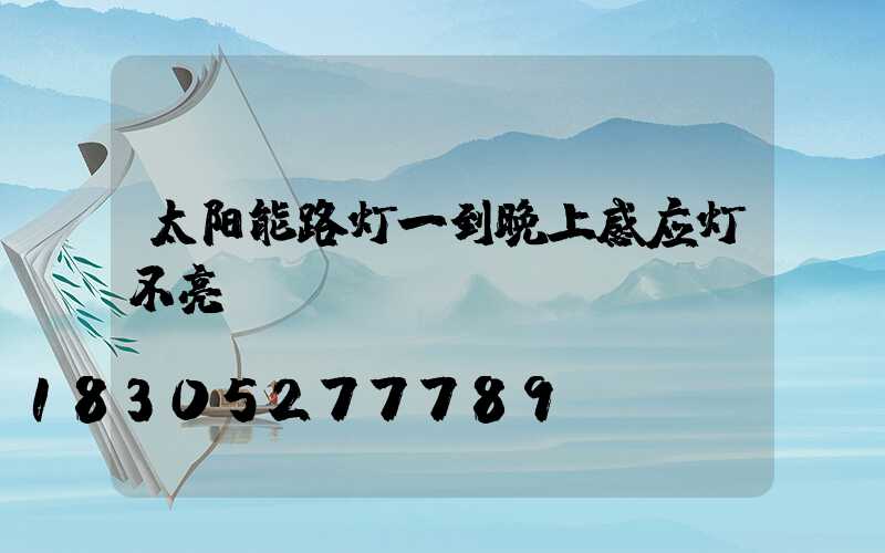 太阳能路灯一到晚上感应灯不亮
