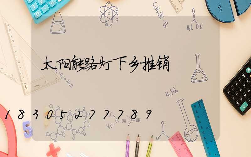 太阳能路灯下乡推销