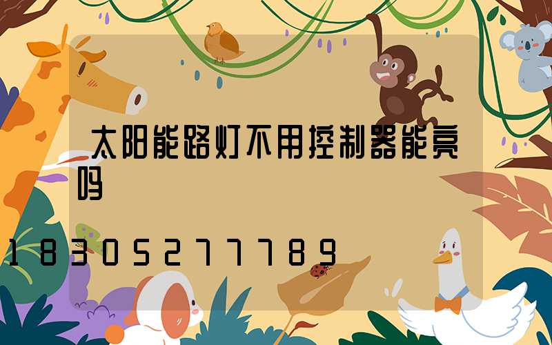 太阳能路灯不用控制器能亮吗