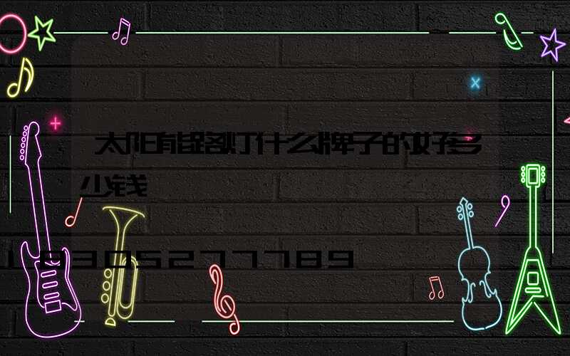 太阳能路灯什么牌子的好多少钱