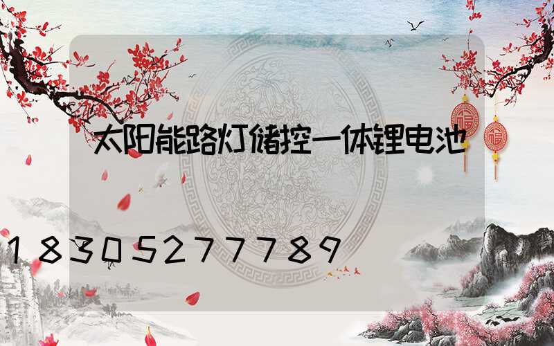 太阳能路灯储控一体锂电池