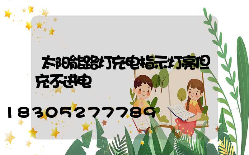 太阳能路灯充电指示灯亮但充不进电