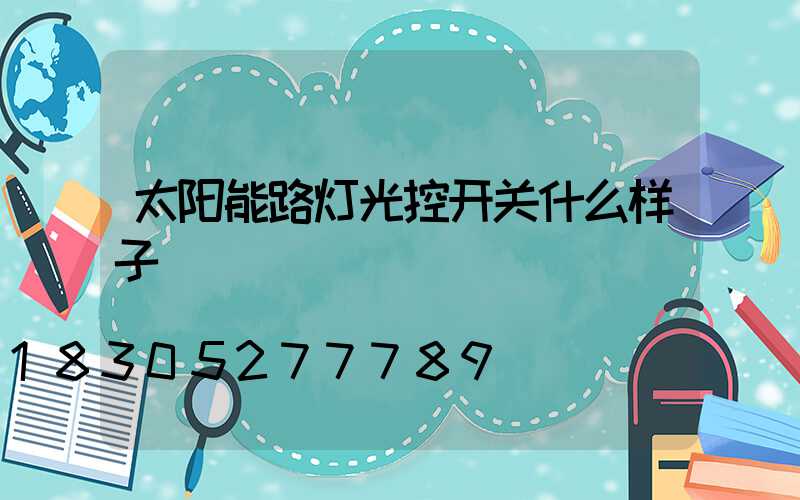 太阳能路灯光控开关什么样子