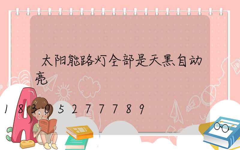 太阳能路灯全部是天黑自动亮