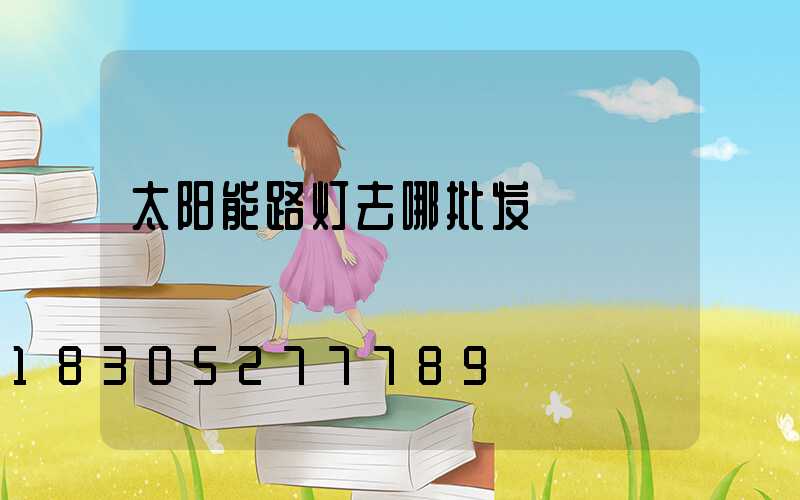 太阳能路灯去哪批发