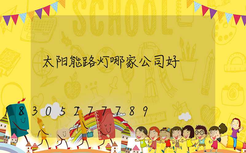 太阳能路灯哪家公司好