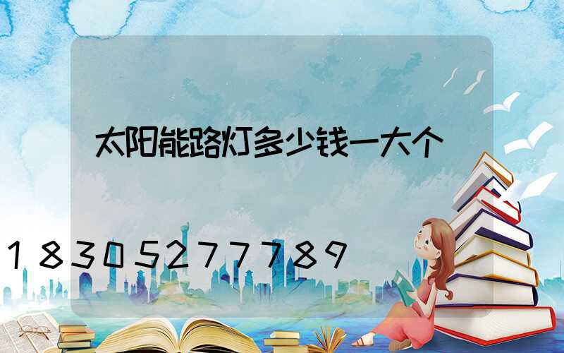 太阳能路灯多少钱一大个