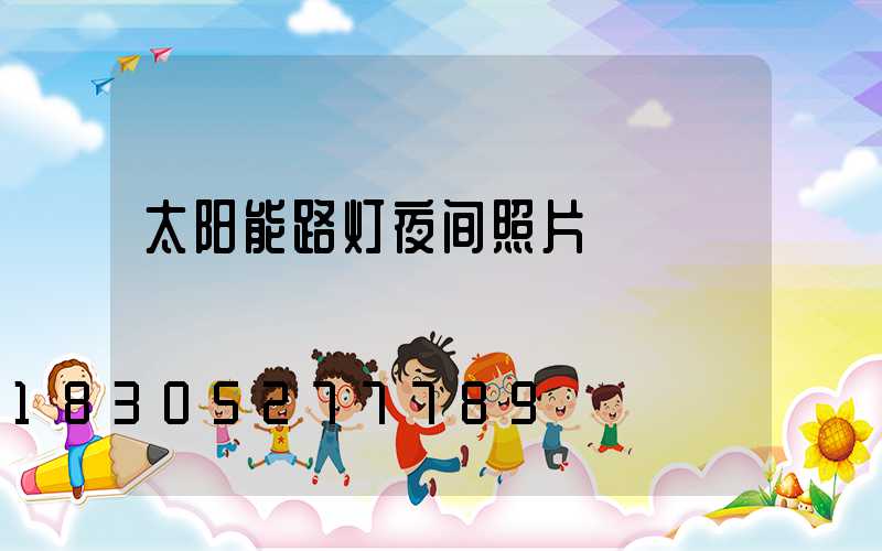 太阳能路灯夜间照片