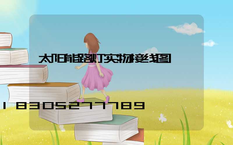 太阳能路灯实物接线图