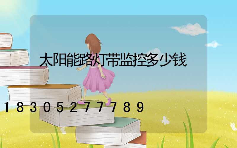 太阳能路灯带监控多少钱