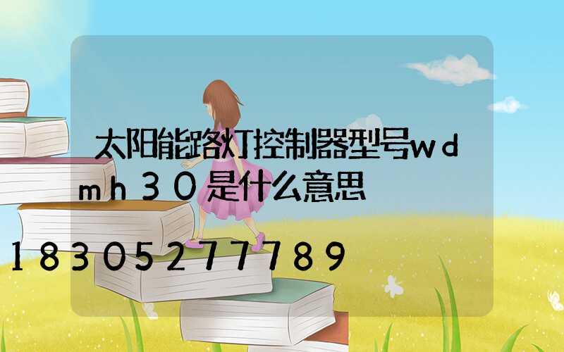 太阳能路灯控制器型号wdmh30是什么意思