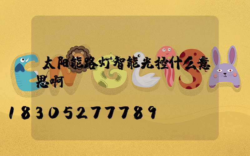 太阳能路灯智能光控什么意思啊