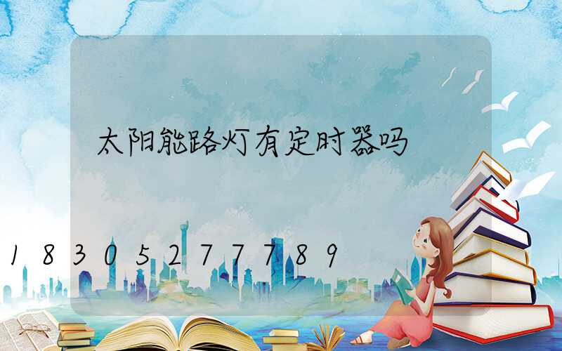 太阳能路灯有定时器吗