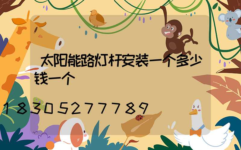 太阳能路灯杆安装一个多少钱一个