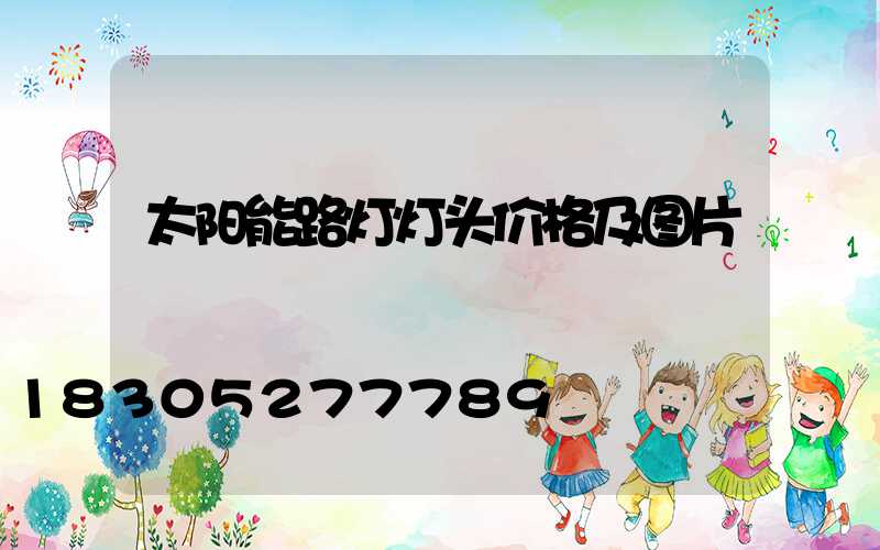 太阳能路灯灯头价格及图片