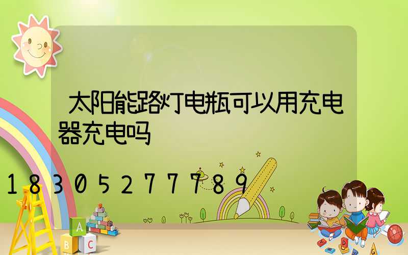 太阳能路灯电瓶可以用充电器充电吗