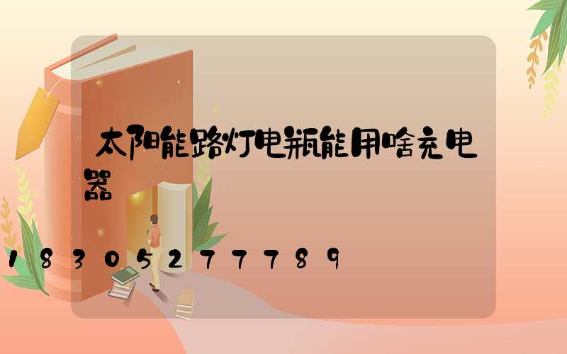 太阳能路灯电瓶能用啥充电器