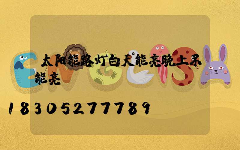 太阳能路灯白天能亮晚上不能亮